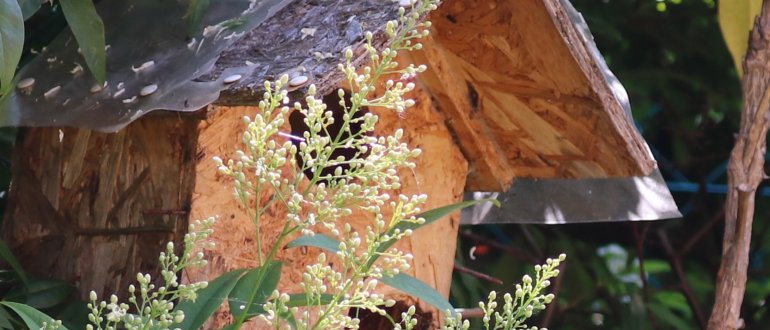 CONSULENZE [n. 3] - Volontari e Assicurazione