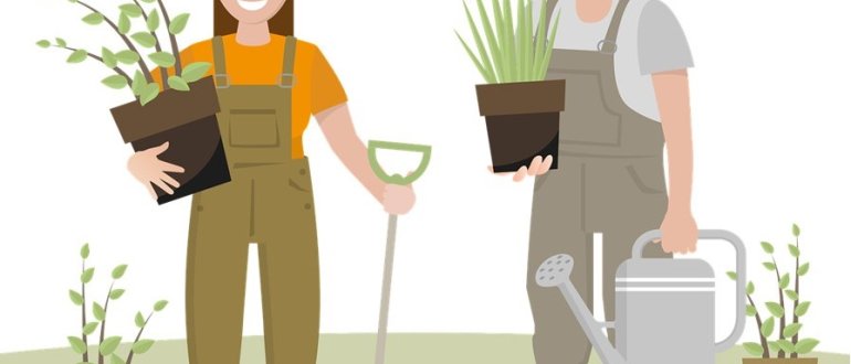 PAROLE [5] - Critical gardening