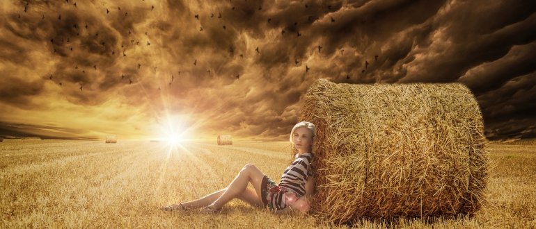 Valori, principi per la pratica e caratteristiche